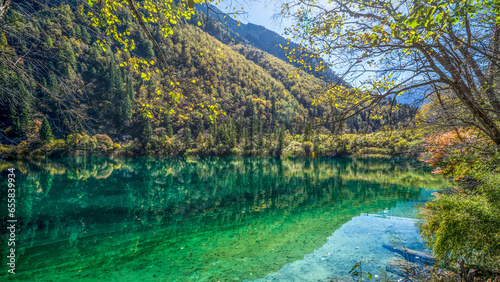 In Jiuzhaigou National Reserve, China, a pristine emerald-green lake mirrors the vibrant autumn foliage, creating a stunning water reflection that encapsulates the serene beauty of this picturesque na