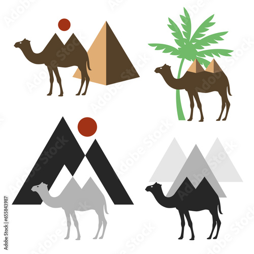 Kamel und Pyramide