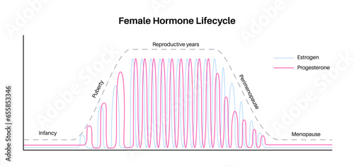 Hormones in pregnancy