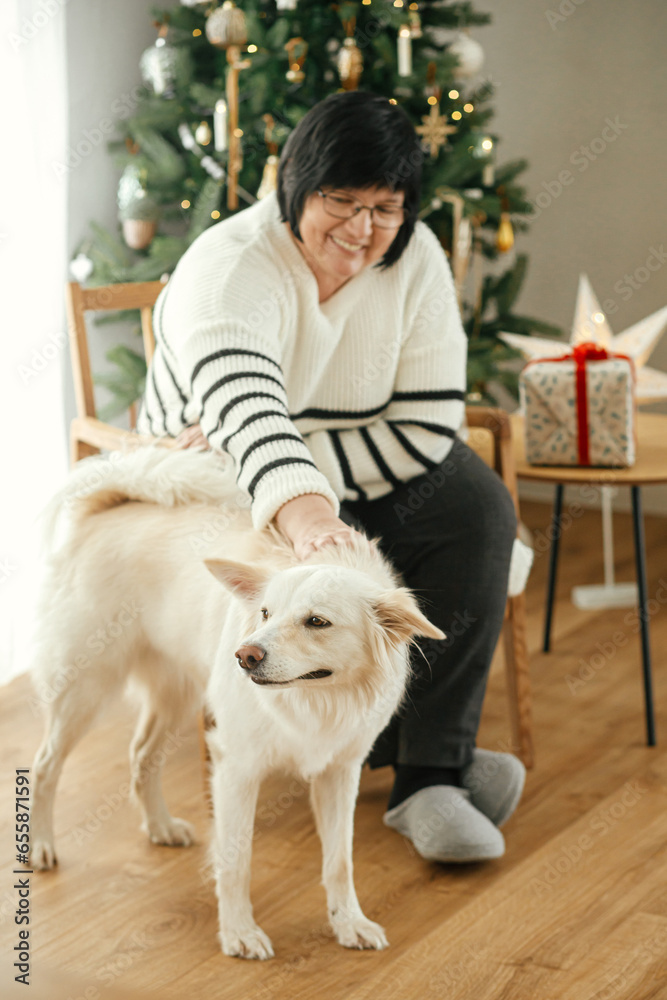Happy senior woman playing with adorable white dog in stylish festive christmas living room. Beautiful woman enjoying cozy winter holidays with cute pet on background of christmas tree