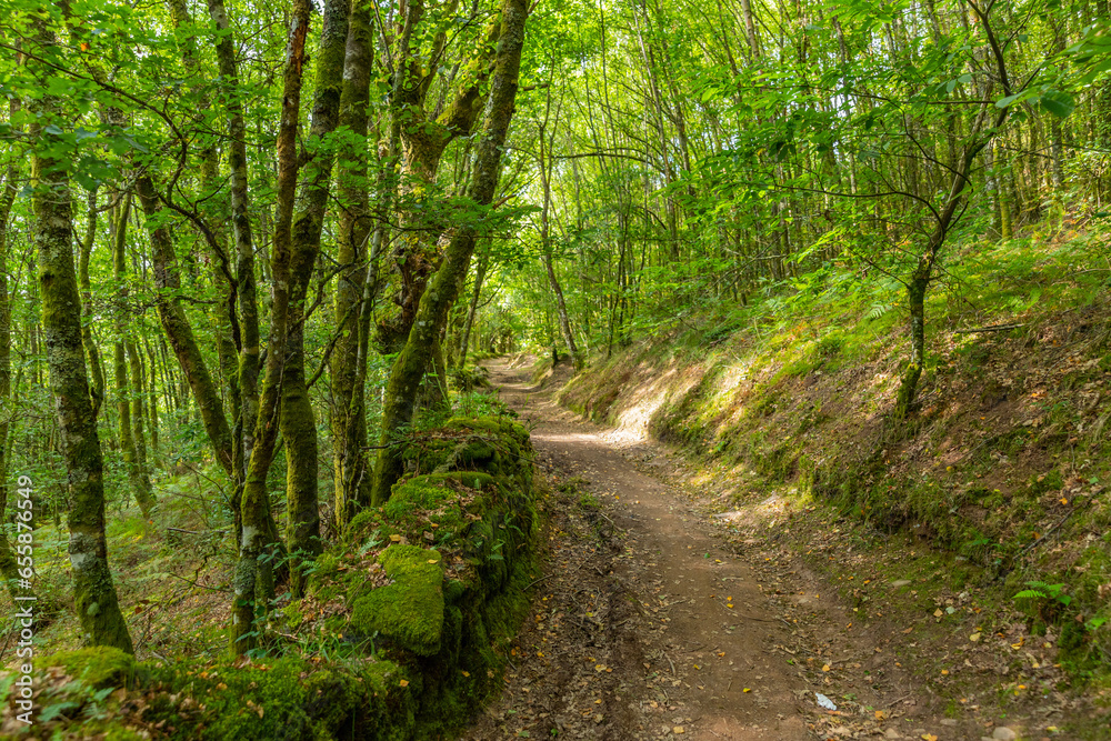 Landscape along the Camino de Santiago trail Landscape along the Camino de Santiago trail