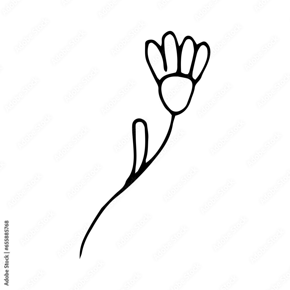 Obraz premium simple flower hand drawn