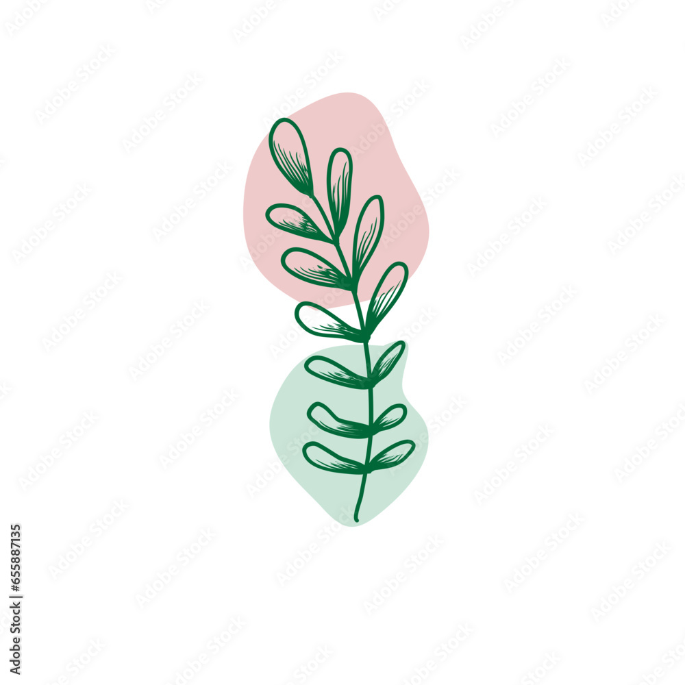 Naklejka premium flower isolated on white