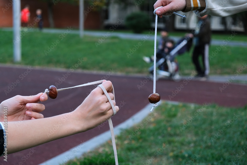 Conkers game. Teenagers are playing conkers. Selective focus ...