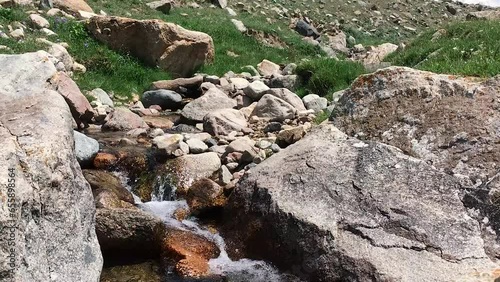 Small mountain river with crystal clear water. Water flows over the stones overgrown. Kyrgyzstan photo