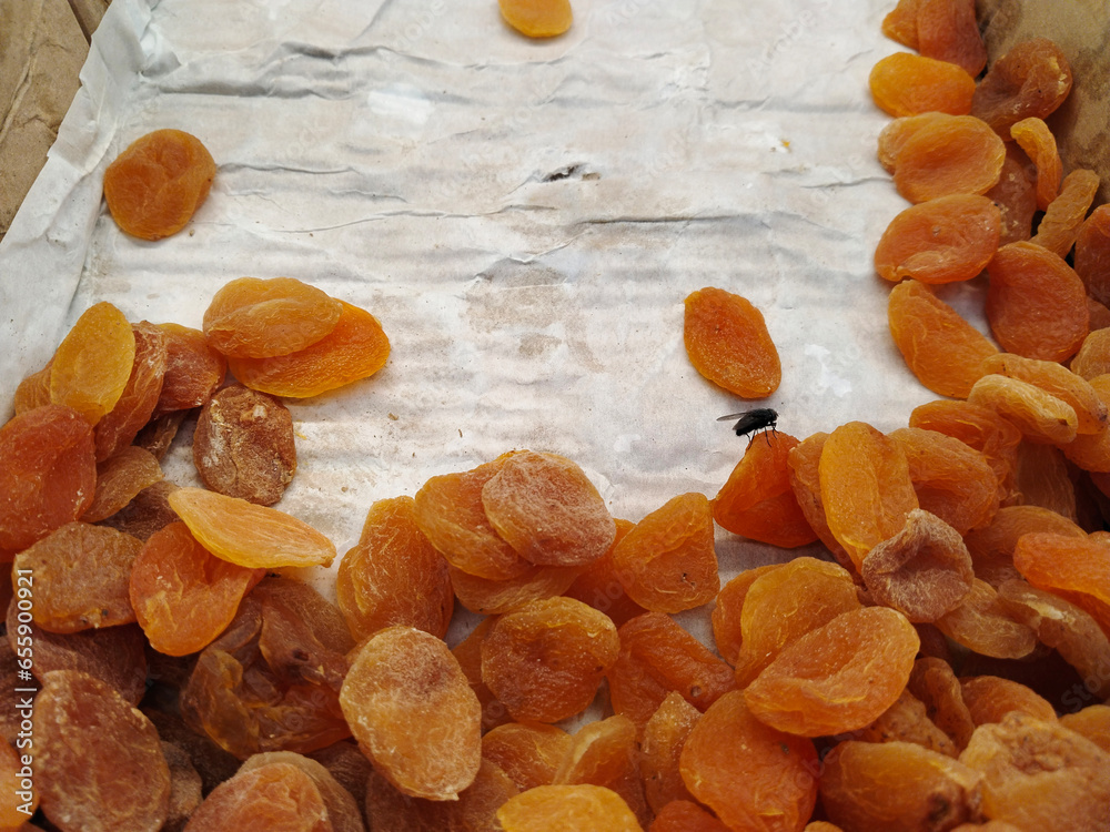 Flyinsect sits on dirty dried apricots in box in local market