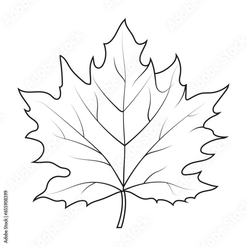 Contour drawing of a maple leaf. Autumn leaf