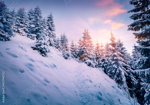 Sunset on the mountain snowy hill. Trekking in the winter forest. Picturesque evening scene of Carpathian mountains, Ukraine, Europe. Christmas postcard. © Andrew Mayovskyy
