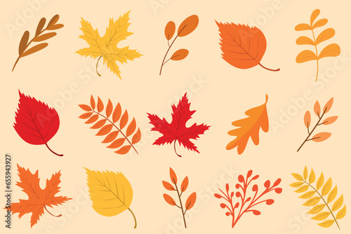 Autumn leaves watercolor set, great design for any purposes. botanical background. Forest design elements. Hello Autumn illustrations. Perfect for seasonal advertisement, invitations, cards