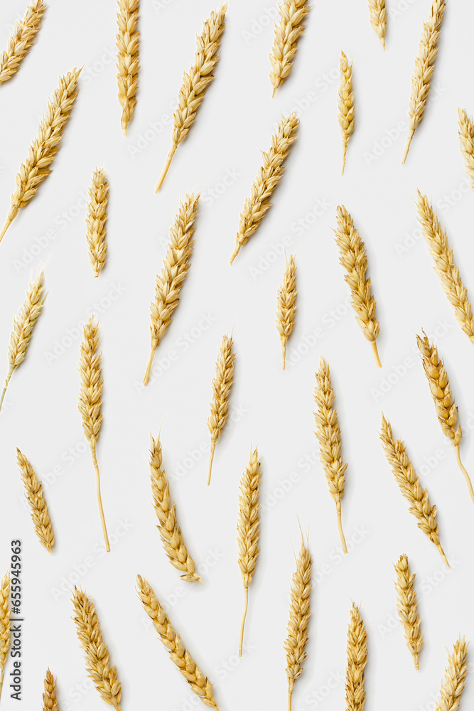 Pattern with ears of wheat, close up golden yellow wheat spikelets on white background. Top view composition minimal style, aesthetic trend, autumn seasonal harvest concept, cereals flat lay Pattern with ears of wheat, close up golden yellow wheat spikelets on white background. Top view composition minimal style, aesthetic trend, autumn seasonal harvest concept, cereals flat lay
