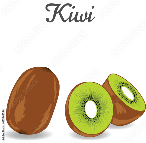 illustration of kiwi fruit