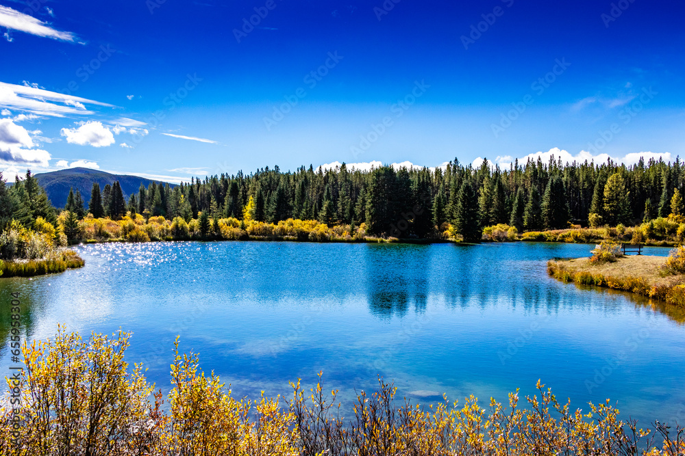 Elk Creek Fish Pond Provincial Recreation Area Clearwater County Alberta Canada