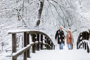 Elegant senior couple walking in the snowy park, during cold winter snowy day.