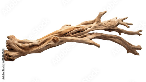 Driftwood isolated on a transparent or white background