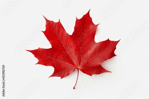 Red maple leaf isolated on transparent or white background. Generative AI