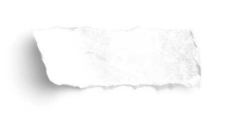 White Paper Kraft Small Strip Deckle Edge 1