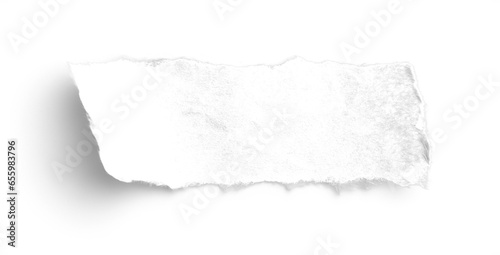 White Paper Kraft Small Strip Deckle Edge 1
