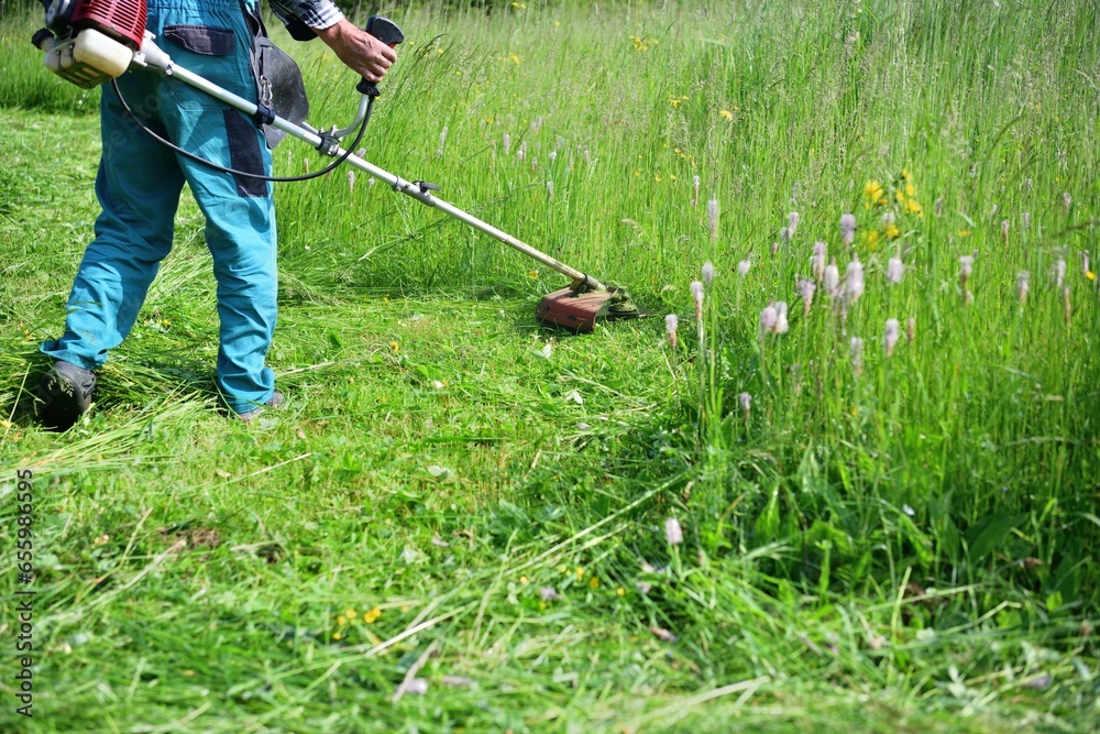 The gardener mows the grass in a modern way with a petrol mower