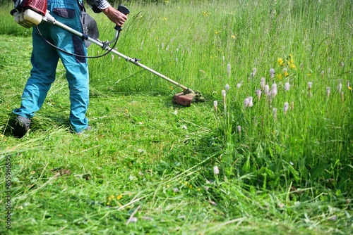 Obraz na płótnie The gardener mows the grass in a modern way with a petrol mower w salonie