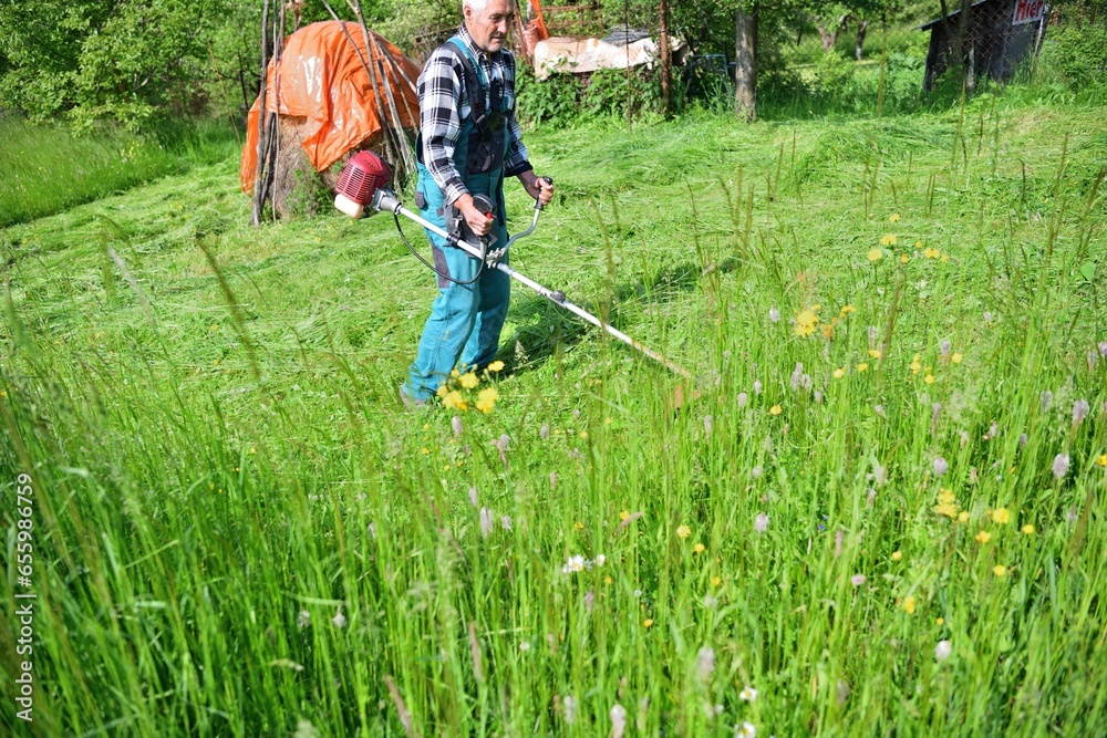 The gardener mows the grass in a modern way with a petrol mower