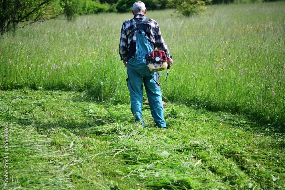 Mowing grass for hay in the garden in the village with a motor mower