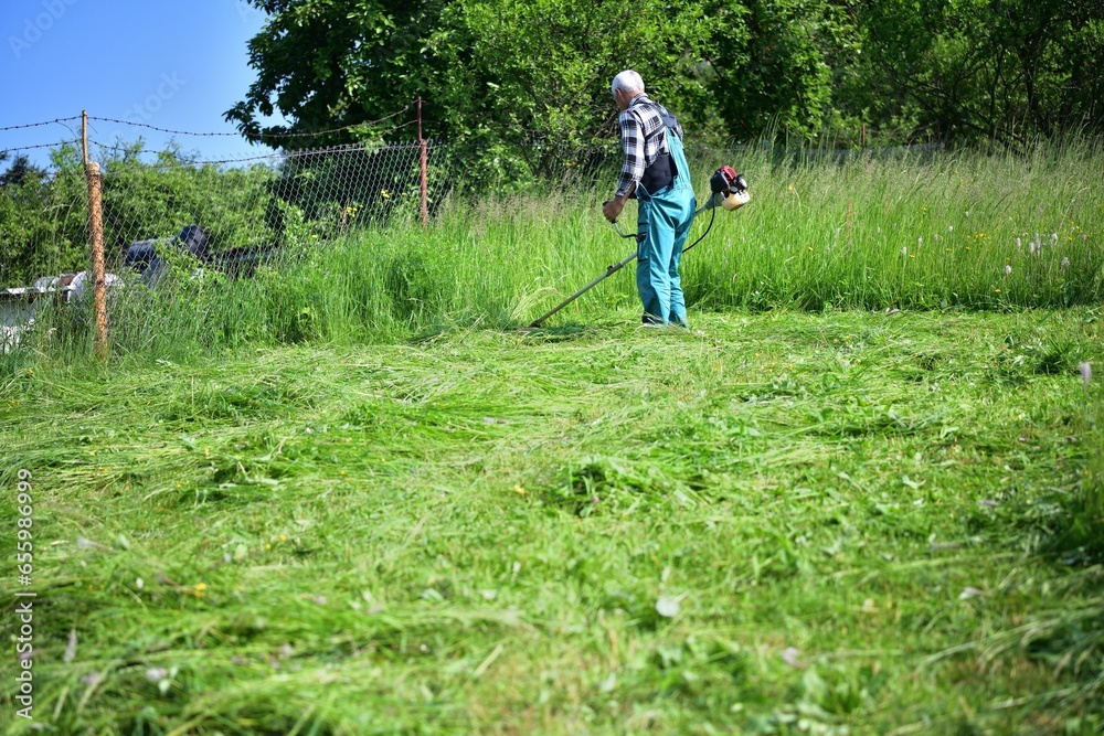 The gardener mows the grass in a modern way with a petrol mower