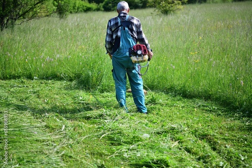 Obraz na płótnie Mowing grass for hay in the garden in the village with a motor mower w salonie