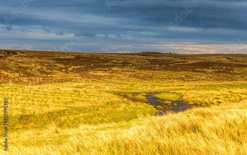 isle of Skye, springtime landscape, Scotland, UK