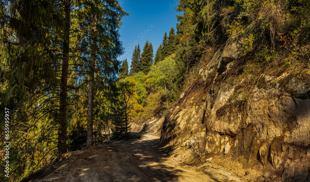 autumn forest in the mountains autumn forest in the mountains