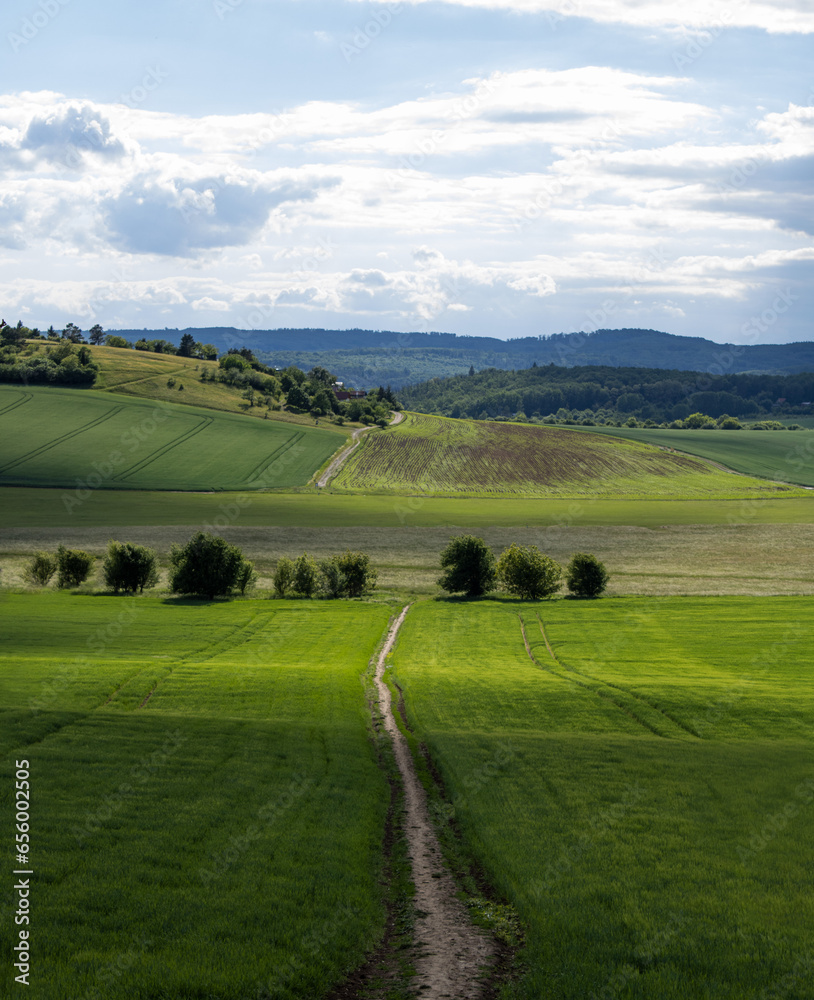 Czech Grassfields