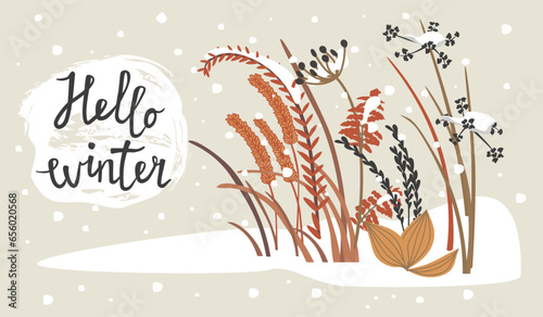 Snowy meadow grass and hand written text.Hello Winter banner wth  composition of dry plants.Background with snowfall and plants.Floral print on fabric and paper.Vector seasonal flat illustration.