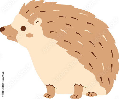 Hedgehog