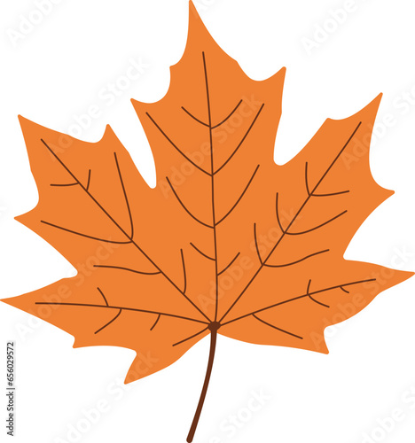 Maple Leaf