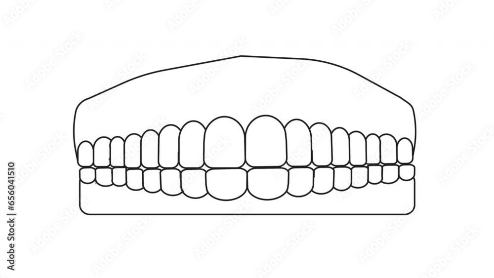 animated video of sketches forming teeth and gums animated video of sketches forming teeth and gums
