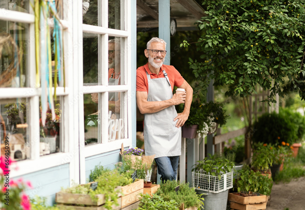 Handsome Mature Man Wearing Apron Standing At Terrace Near Greenhouse Handsome Mature Man Wearing Apron Standing At Terrace Near Greenhouse
