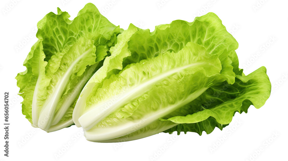 Fresh lettuce isolated on a white and transparent background Fresh lettuce isolated on a white and transparent background