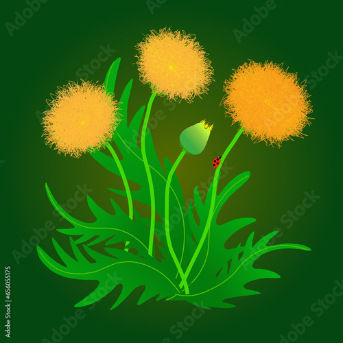 yellow dandelions with a ladybug on a green background