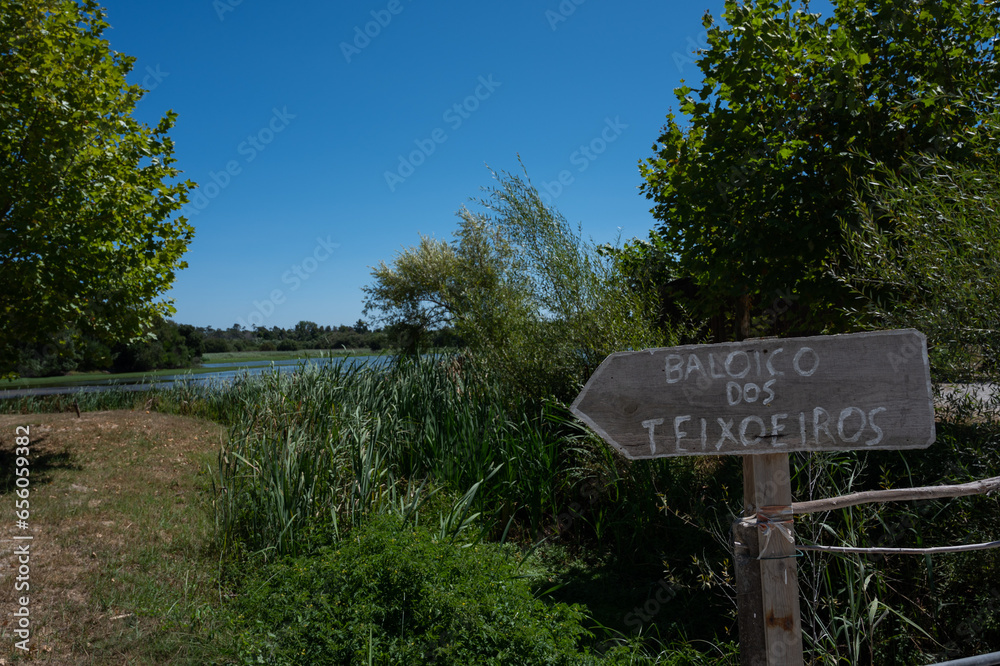 Paisagem Lagoa da Mata, Freguesia de Tocha, Cantanhede - Portugal