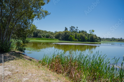 Paisagem Lagoa da Mata, Freguesia de Tocha, Cantanhede - Portugal photo