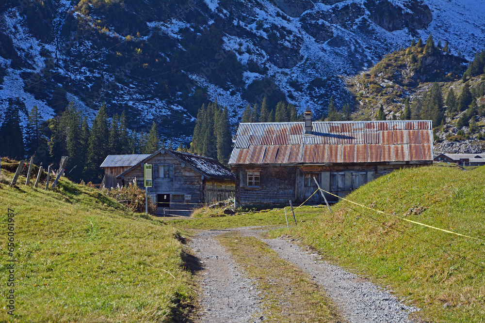 Fotografie Auf der Alp Gitschenen / Alp Geissboden im Isental, Kanton Uri, Schweiz