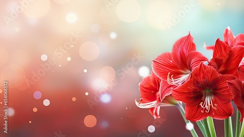  flower background with copy space