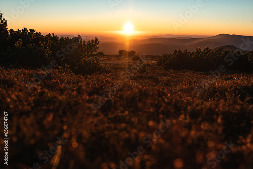 Fototapeta Naklejka Na Ścianę i Meble -  Beautiful nature landscape during sunset, sunrise, Europe, Czech Republic, mountains, hills, Krkonose, wide landcape