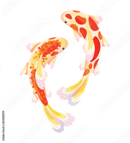 Koi carp Japanese in cartoon style. Vector illustration of two beautiful traditional Japanese white koi carp with various colored scales, fins and tails with orange and red spots on white background.