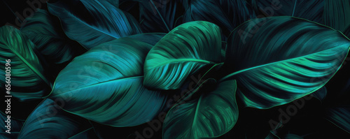 Blue green lush tropical leaves on a dark black background - Graphic resource backdrop