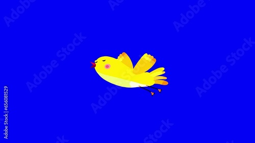 Canary bird yellow cartoon flying, glidng singing bluebox. Blinking eyes seamless loop behaviour animation character. photo