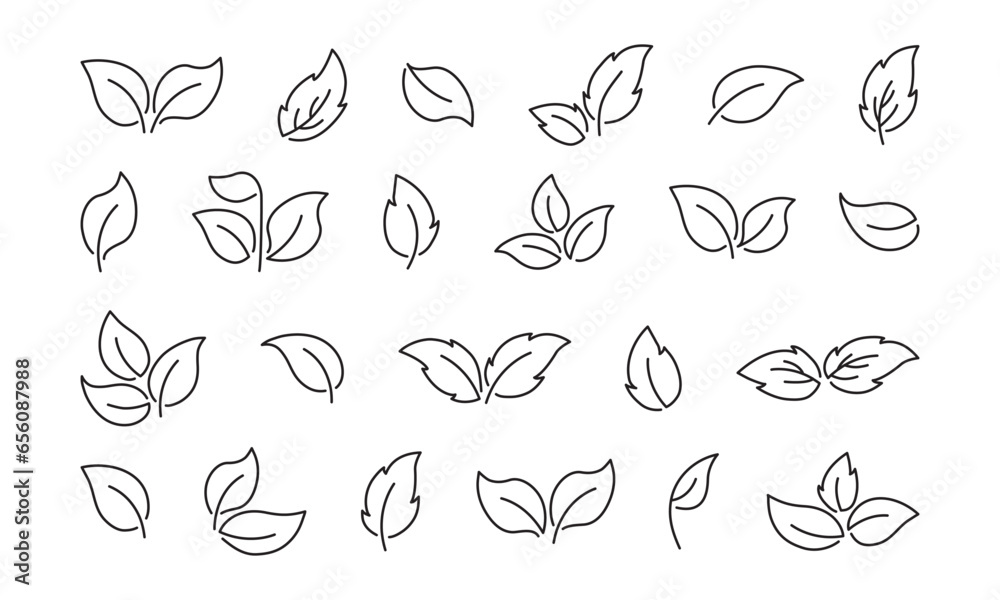 Leaf line vector icon, vegan plant, fresh organic set, leaves tree, eco food, linear branch, sketch sprout, black foliage. Editable stroke. Nature illustration isolated on white background