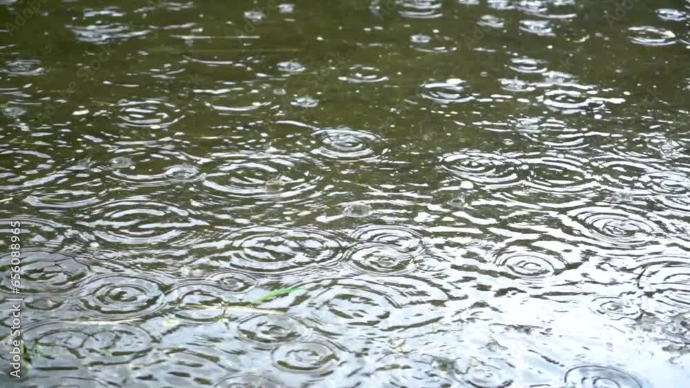 Slow motion shot of rain drops in water Slow motion shot of rain drops in water