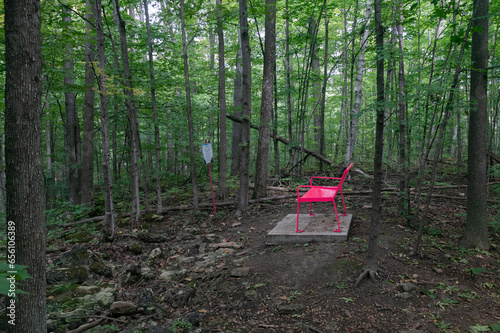 Red bench in the wild forest