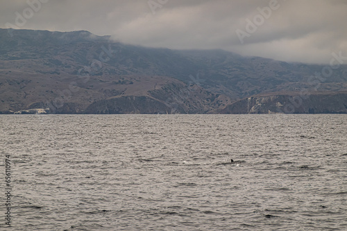 SSanta Cruz Island, CA, USA - September 14, 2023: Scorpion Anchorage gap in rocky cliffs under foggy sky straight up above dolphin fin in ocean water. Brownish mountain flanks photo