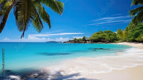 a beach with palm trees and blue water © Skyfe